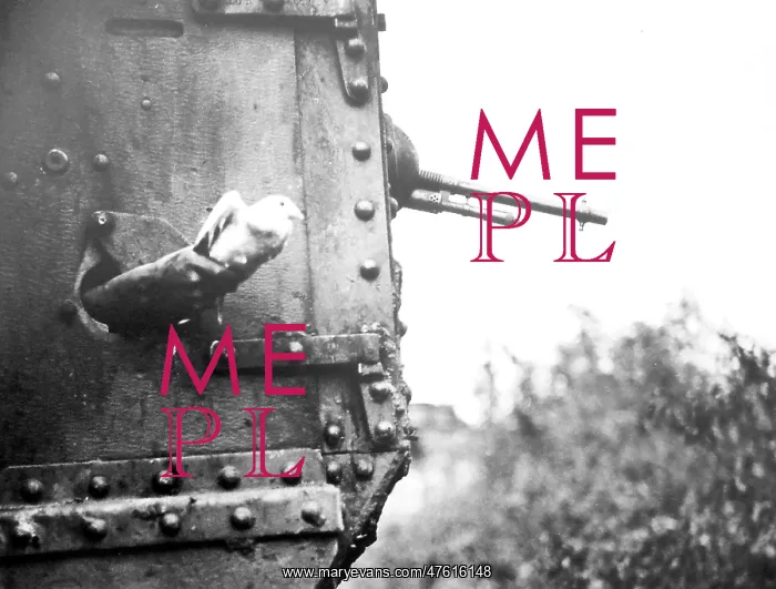 : WWI, British Carrier Pigeon : WWI, British Carrier Pigeon