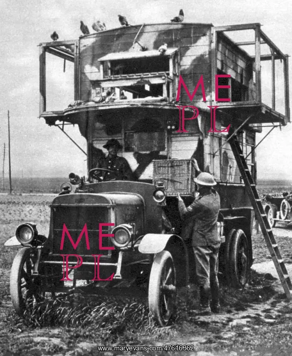 : WWI, British Carrier Pigeon Loft : WWI, British Carrier Pigeon Loft