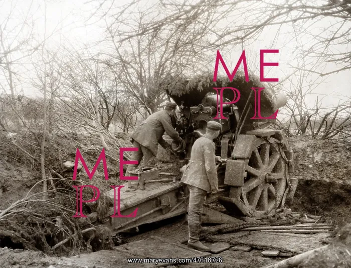: WWI, Camouflaged Howitzer, 1915 : WWI, Camouflaged Howitzer, 1915