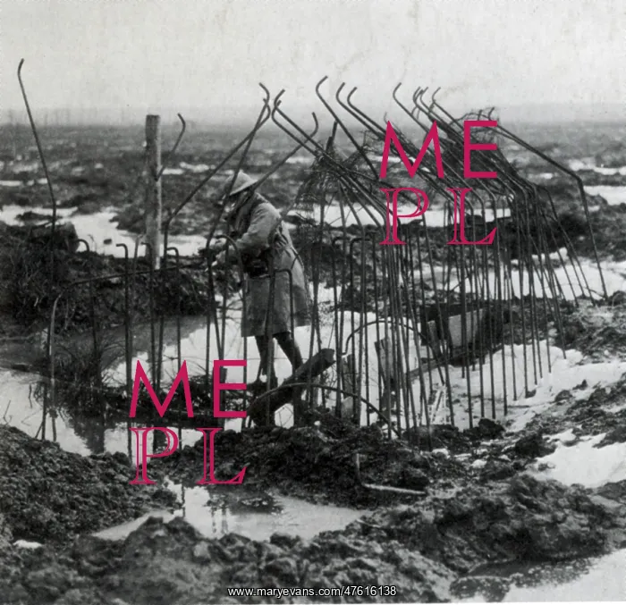 : WWI, German Pillbox Frame, Battle of Broodseinde, 1917 : WWI, German Pillbox Frame, Battle of Broodseinde, 1917
