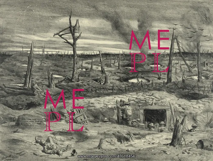 : WWI, No Man's Land : WWI, No Man's Land