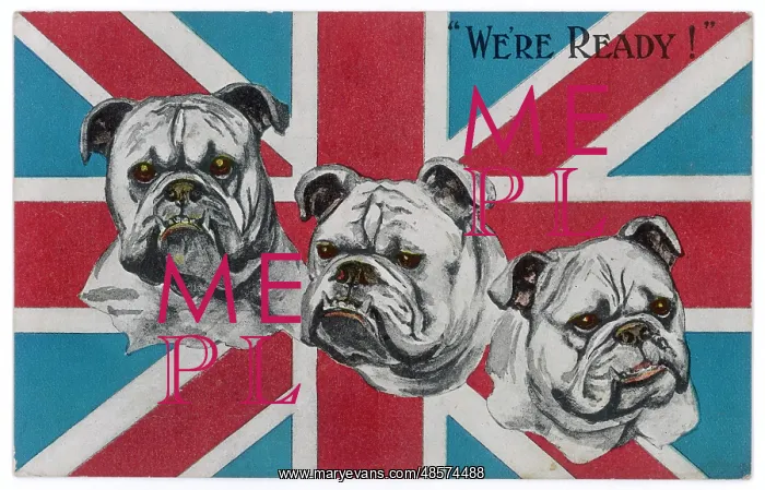  : WWI Postcard - Bulldogs