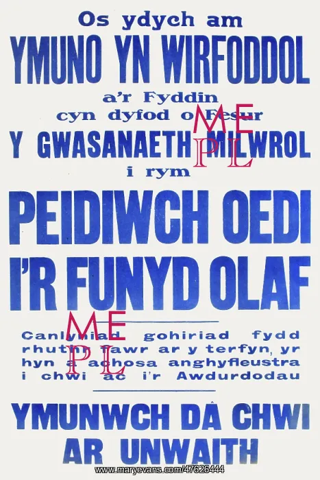 : WWI Poster, Enlist Now (Welsh version) : WWI Poster, Enlist Now (Welsh version)
