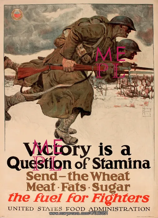 : WWI Poster, US Food Administration : WWI Poster, US Food Administration