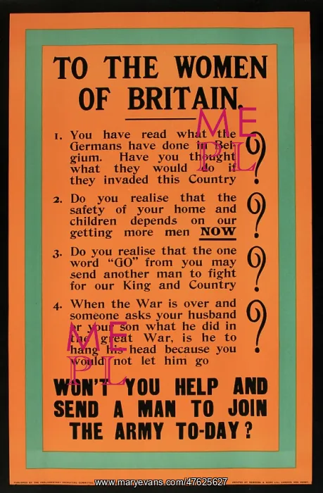 : WWI Poster, To the Women of Britain : WWI Poster, To the Women of Britain