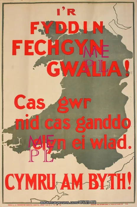 : WWI Recruitment Poster (Welsh version) : WWI Recruitment Poster (Welsh version)
