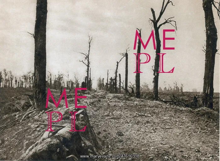 : WWI, Ruins of Somme, 1916 : WWI, Ruins of Somme, 1916