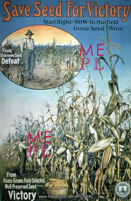 : 'WWI, 'Save Seed For Victory' : 'WWI, 'Save Seed For Victory'
