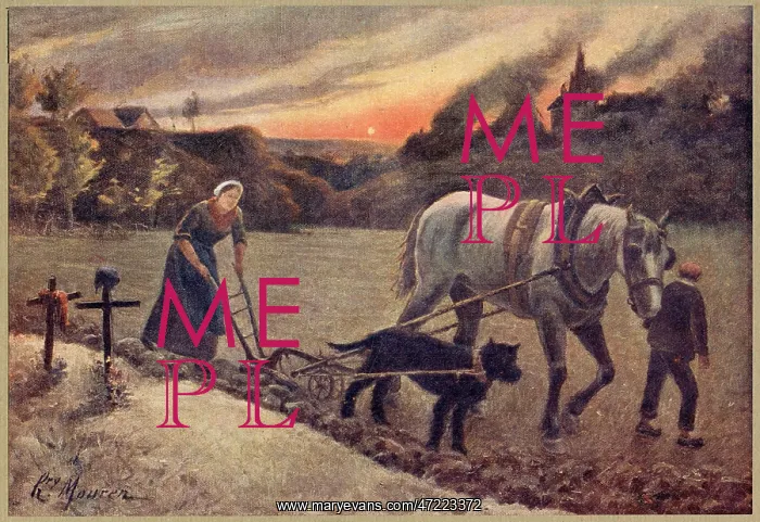 : WWI / WOMAN PLOUGHING : WWI / WOMAN PLOUGHING