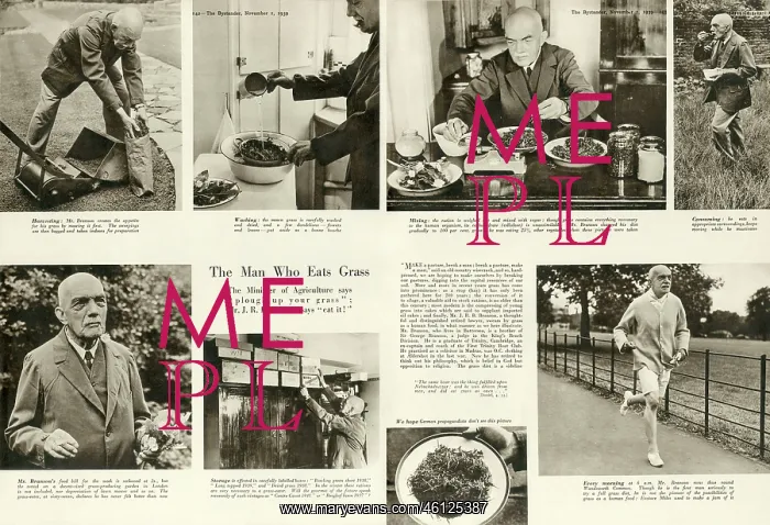 : WWII - the man who eats grass, Mr J. R. B. Branson : WWII - the man who eats grass, Mr J. R. B. Branson