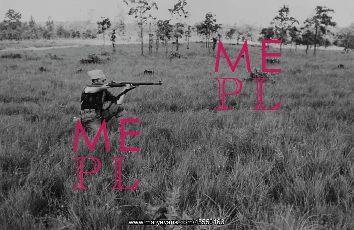: WWII - soldier - army : WWII - soldier - army