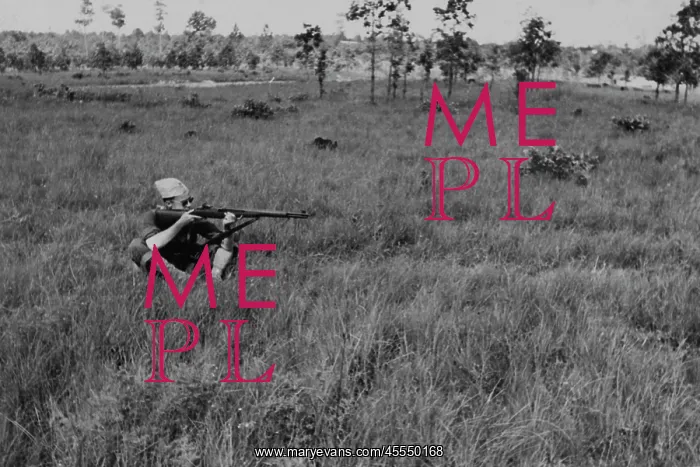 : WWII - soldier - army : WWII - soldier - army