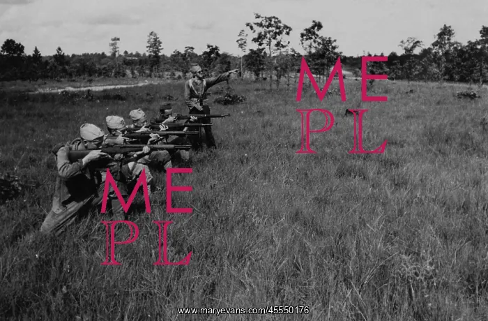 : WWII - soldier - army : WWII - soldier - army