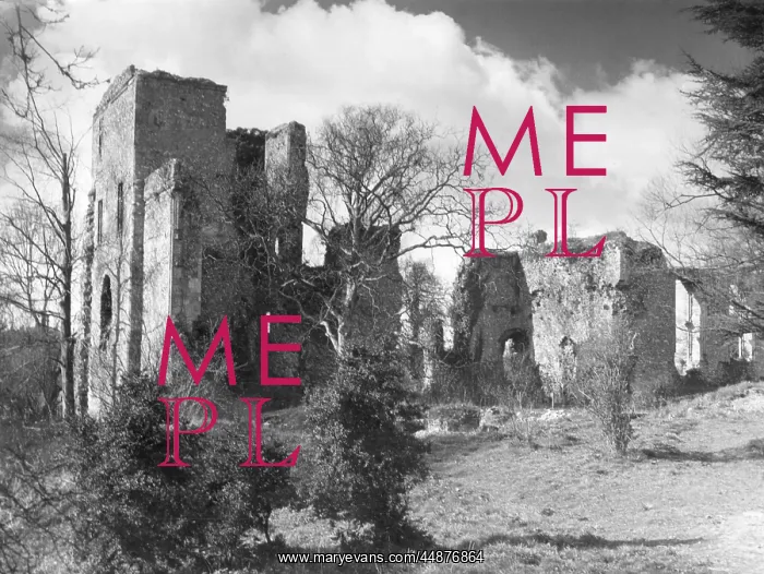 : WYKEHAM'S PALACE RUINS : WYKEHAM'S PALACE RUINS