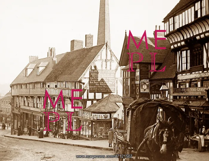  : Wyle Cop, Shrewsbury