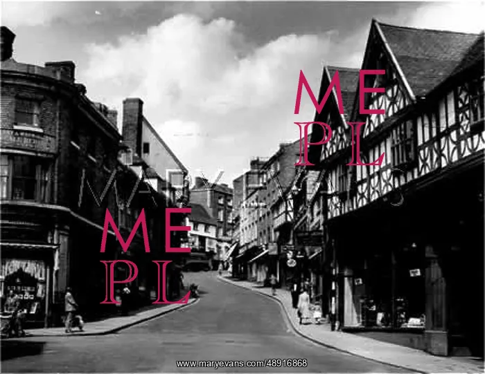 : WYLE COP, SHREWSBURY : WYLE COP, SHREWSBURY