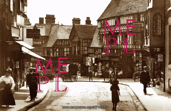 : Wyle Cop, Shrewsbury early 1900's