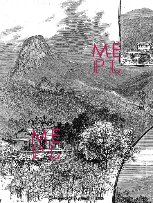 : The Wynaad Goldfields, Southern India. View of the Needle Ar : The Wynaad Goldfields, Southern India. View of the Needle Ar