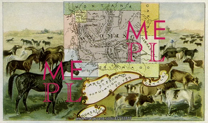  : Wyoming Ranching