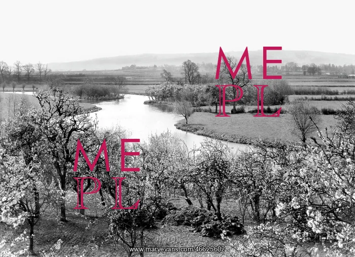  : Wyre Piddle, the River Avon c1955