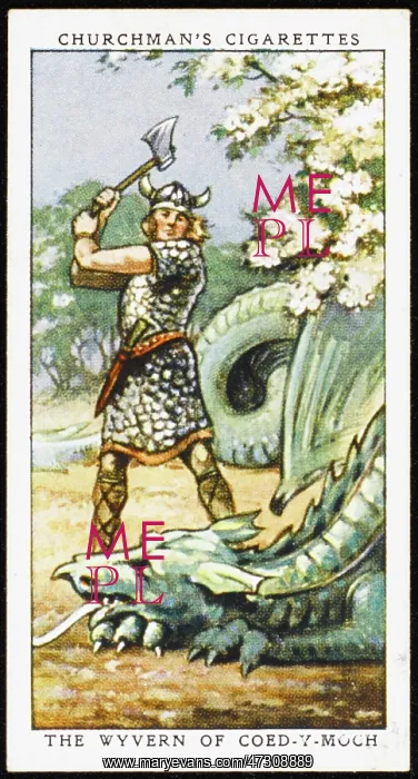 : THE WYVERN : THE WYVERN
