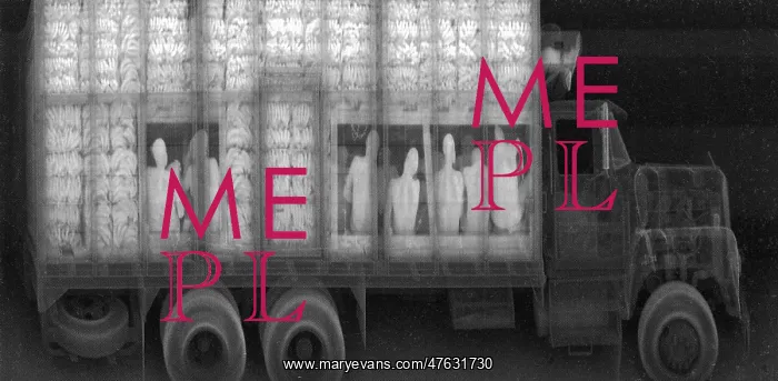 : An x-ray of a truck with illegal immigrants : An x-ray of a truck with illegal immigrants