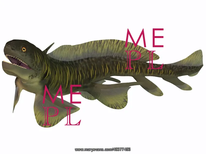 : Xenacanthus, a Devonian freshwater shark : Xenacanthus, a Devonian freshwater shark