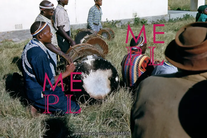 : Xhosa / Mpondo drummers at diviner's ceremony : Xhosa / Mpondo drummers at diviner's ceremony