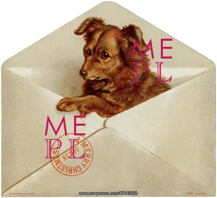 : Xmas Dog in Envelope : Xmas Dog in Envelope