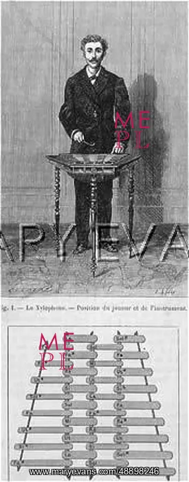 : XYLOPHONE 1885 : XYLOPHONE 1885