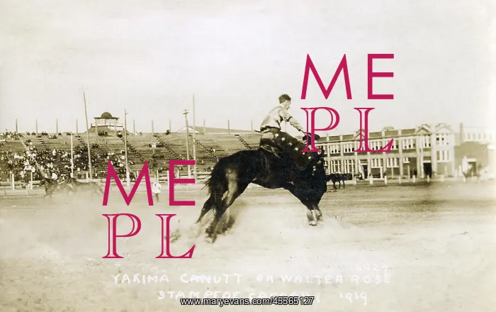 : Y Canutt on Walter Rose during the Calgary Stampede : Y Canutt on Walter Rose during the Calgary Stampede