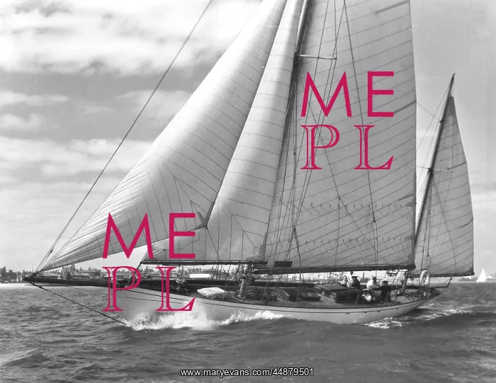  : THE YACHT ARLETTE