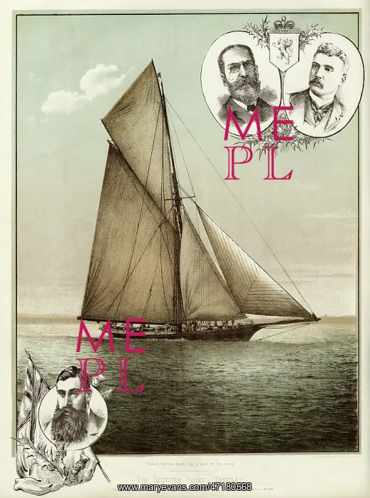 : Yacht Thistle : Yacht Thistle