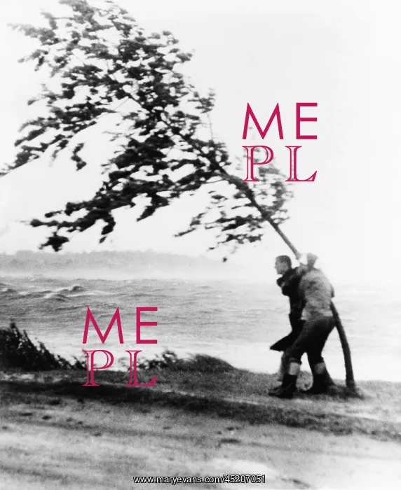 : Two yachtsmen hang desperately to a tree ? : Two yachtsmen hang desperately to a tree ?