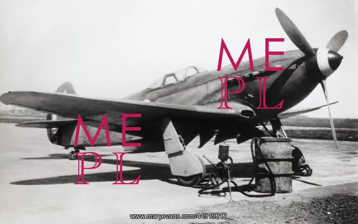 : Yakovlev Yak-3 : Yakovlev Yak-3