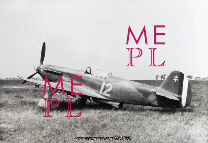 : Yakovlev Yak-3 : Yakovlev Yak-3