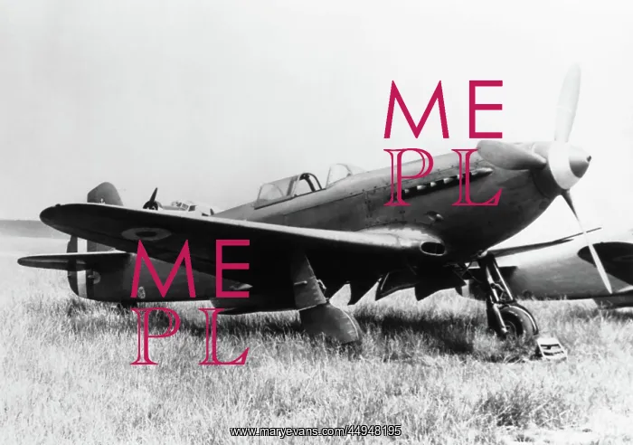 : Yakovlev Yak-3U / A : Yakovlev Yak-3U / A