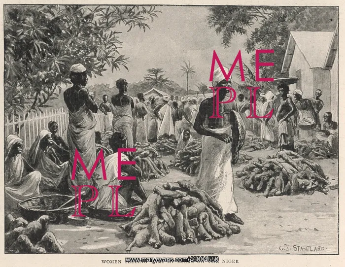 : YAM MARKET, ASABA, RIVER NIGER : YAM MARKET, ASABA, RIVER NIGER
