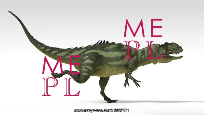: Yangchuanosaurus, dinosaur, white background : Yangchuanosaurus, dinosaur, white background