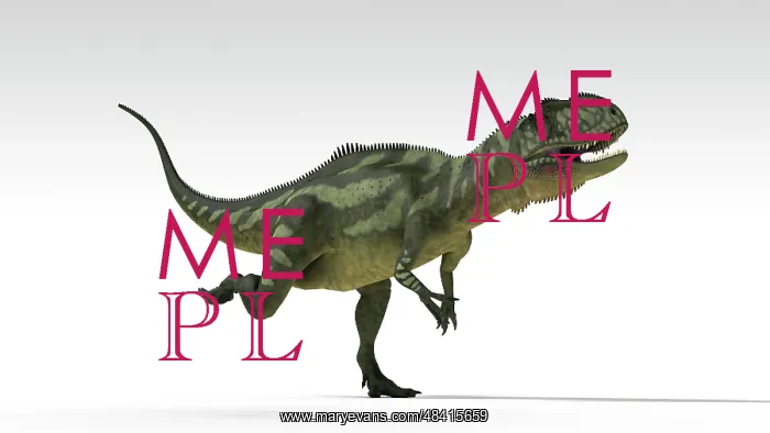 : Yangchuanosaurus, dinosaur, white background : Yangchuanosaurus, dinosaur, white background