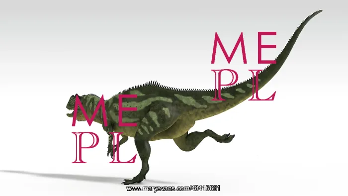 : Yangchuanosaurus, dinosaur, white background : Yangchuanosaurus, dinosaur, white background