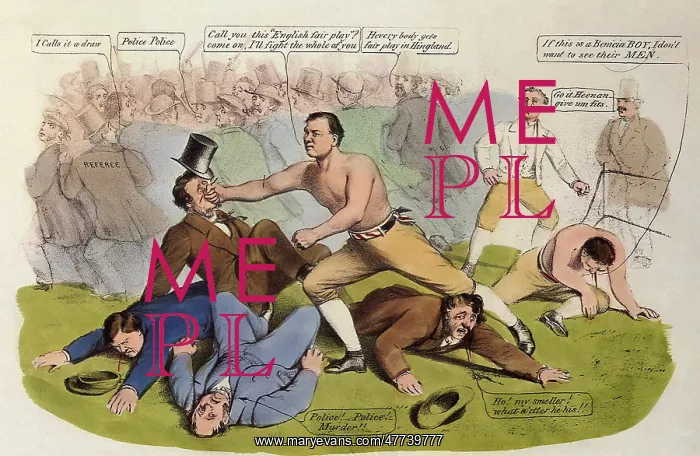 : Yankee Doodle on his Muscle : Yankee Doodle on his Muscle