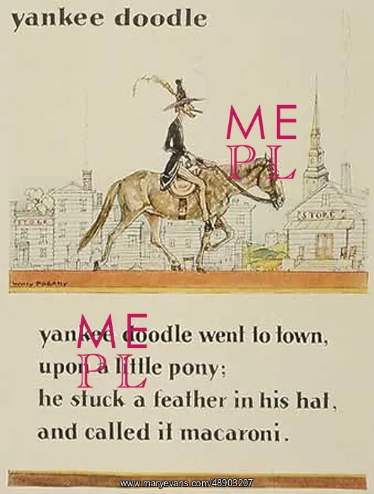 : YANKEE DOODLE / POGANY : YANKEE DOODLE / POGANY