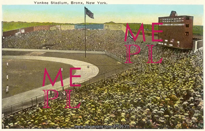  : Yankee Stadium