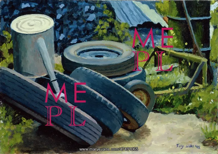 : Back Yard ' tyres, watering can etc : Back Yard ' tyres, watering can etc