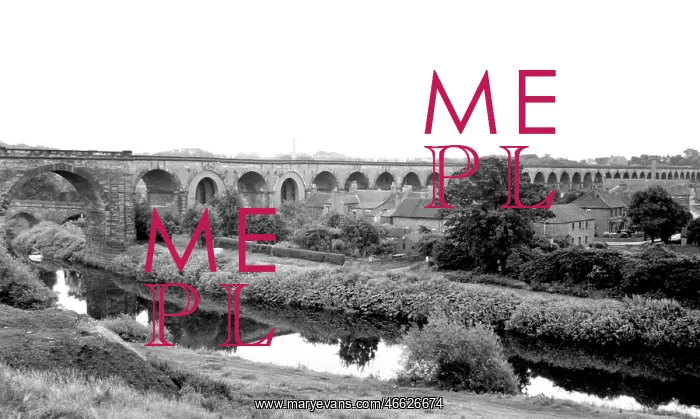  : Yarm, the Viaduct c1955