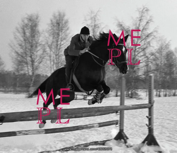 : Yaroslavl horse-riding school : Yaroslavl horse-riding school