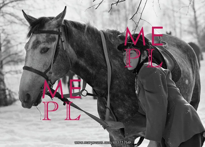 : Yaroslavl horse-riding school : Yaroslavl horse-riding school