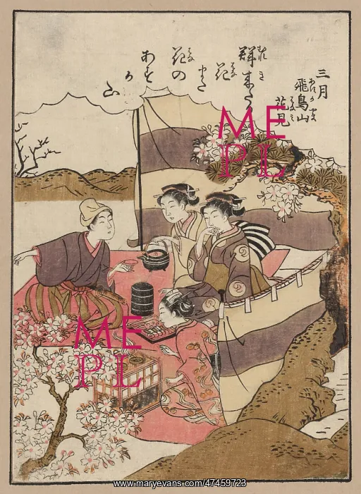 : Yayoi asukayama hanami : Yayoi asukayama hanami