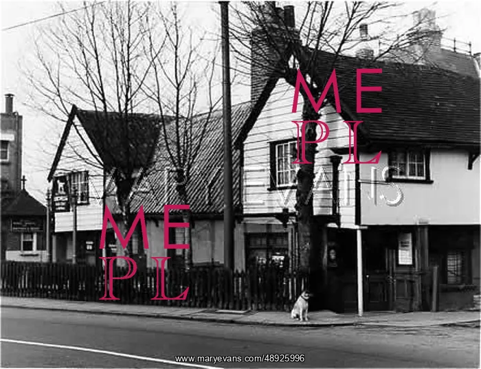 : YE OLDE SPOTTED DOG INN : YE OLDE SPOTTED DOG INN